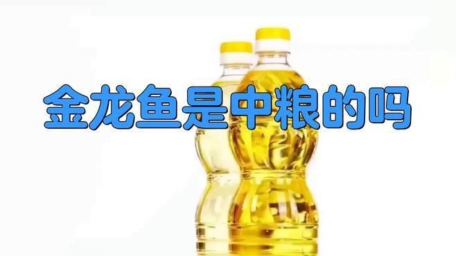 金龍魚是否有外資背景？