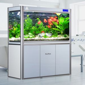 巴卡雷龍魚是淡水魚嗎（巴卡雷龍魚的食性特點如何防治巴卡雷龍魚的疾病）