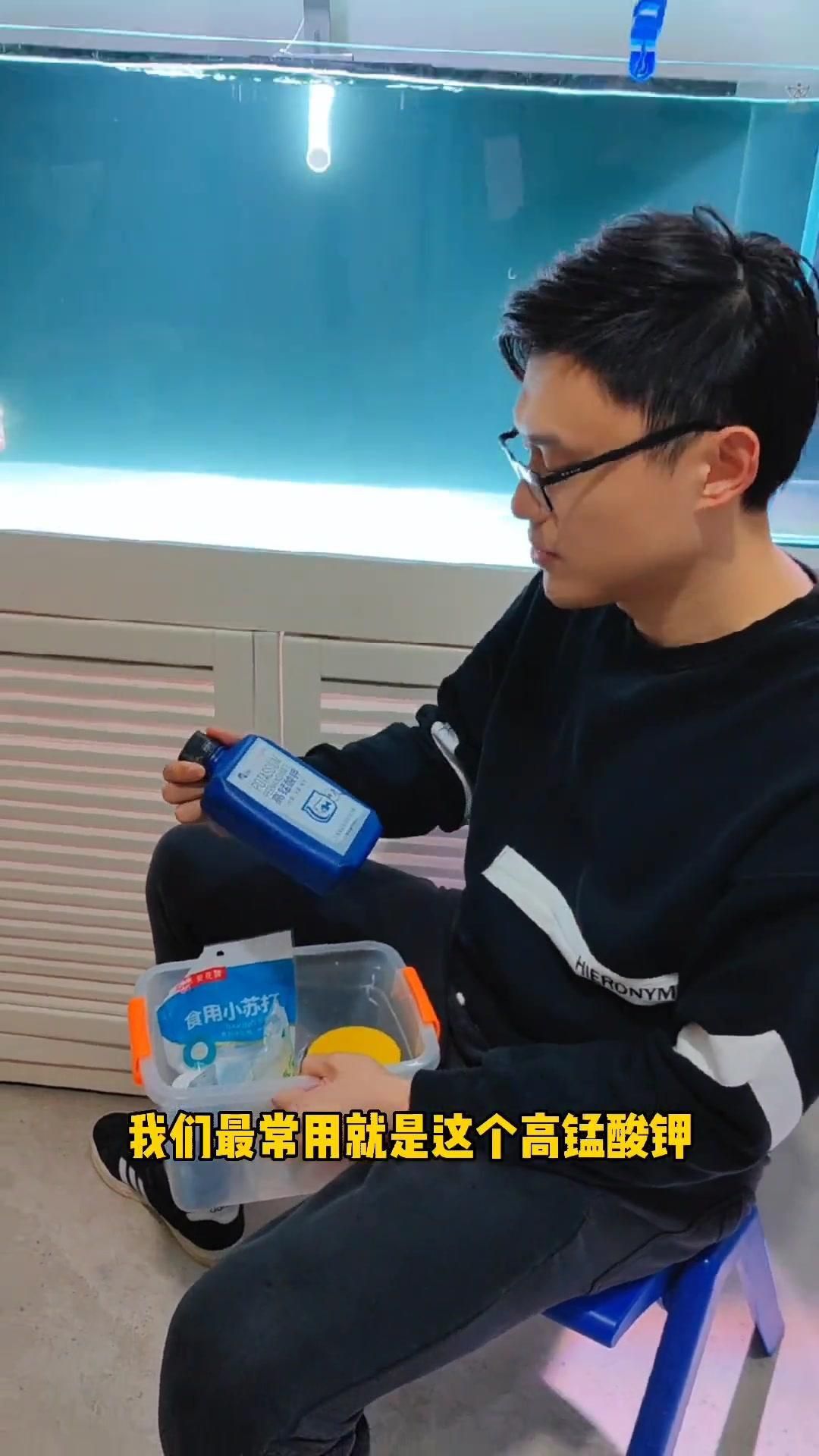 金魚生病了用什么藥最好
