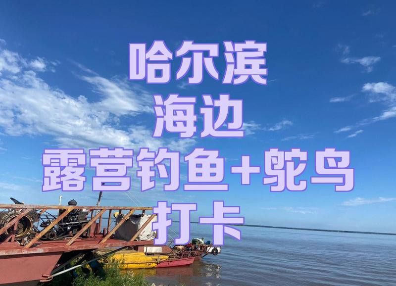 哈爾濱龍魚灣垂釣園怎么樣啊值得去嗎 哈爾濱龍魚灣垂釣園怎么樣啊值得去嗎 龍魚百科 第4張