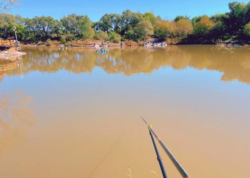 哈爾濱龍魚灣垂釣園怎么樣啊值得去嗎 哈爾濱龍魚灣垂釣園怎么樣啊值得去嗎 龍魚百科 第5張