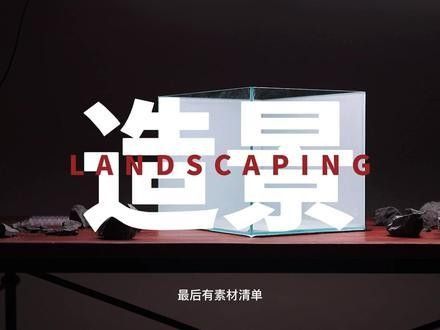 雷龍魚魚缸簡單好看造景圖片大全