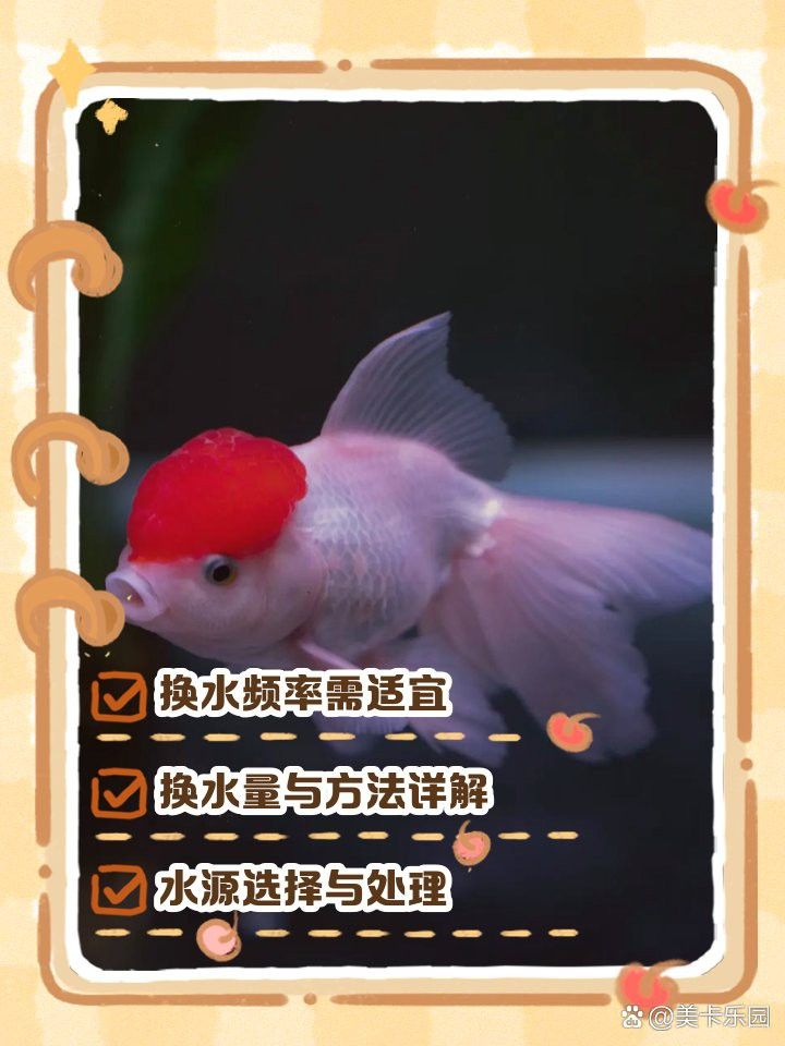 紅眼白子招財龍幼魚期多久換一次水？ 紅眼白子招財龍幼魚期多久換一次水？ 龍魚百科 第2張