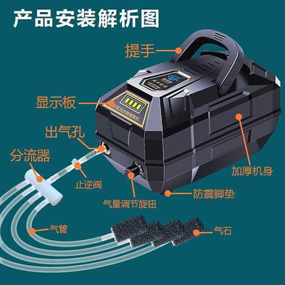 紅龍魚眼睛外凸如何緊急處理？