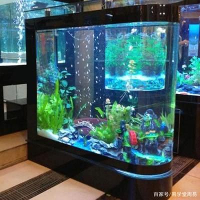 辦公室魚缸擺放什么位置最佳風水（辦公室魚缸擺放影響財運嗎）