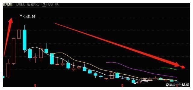 金龍魚歷史最高市值（金龍魚市值歷史最高峰曾超7800億-7900億）