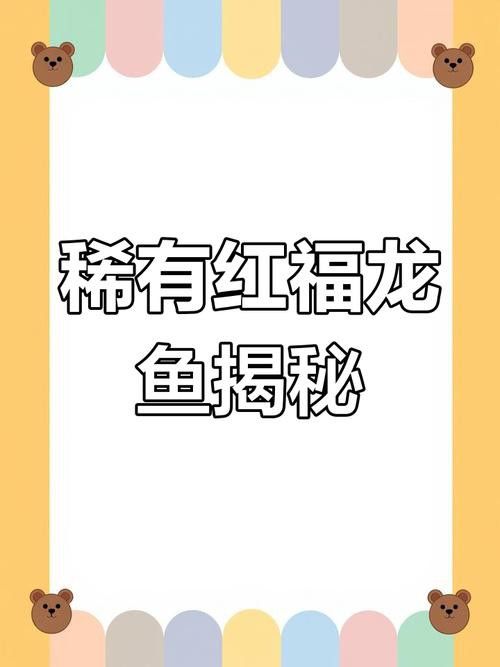 什么叫福龍魚的圖片大全集 什么叫福龍魚的圖片大全集 龍魚百科 第8張