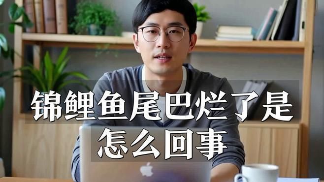 如何判斷錦鯉爛尾爛鰭的嚴重程度？ 如何判斷錦鯉爛尾爛鰭的嚴重程度？ 龍魚百科 第3張