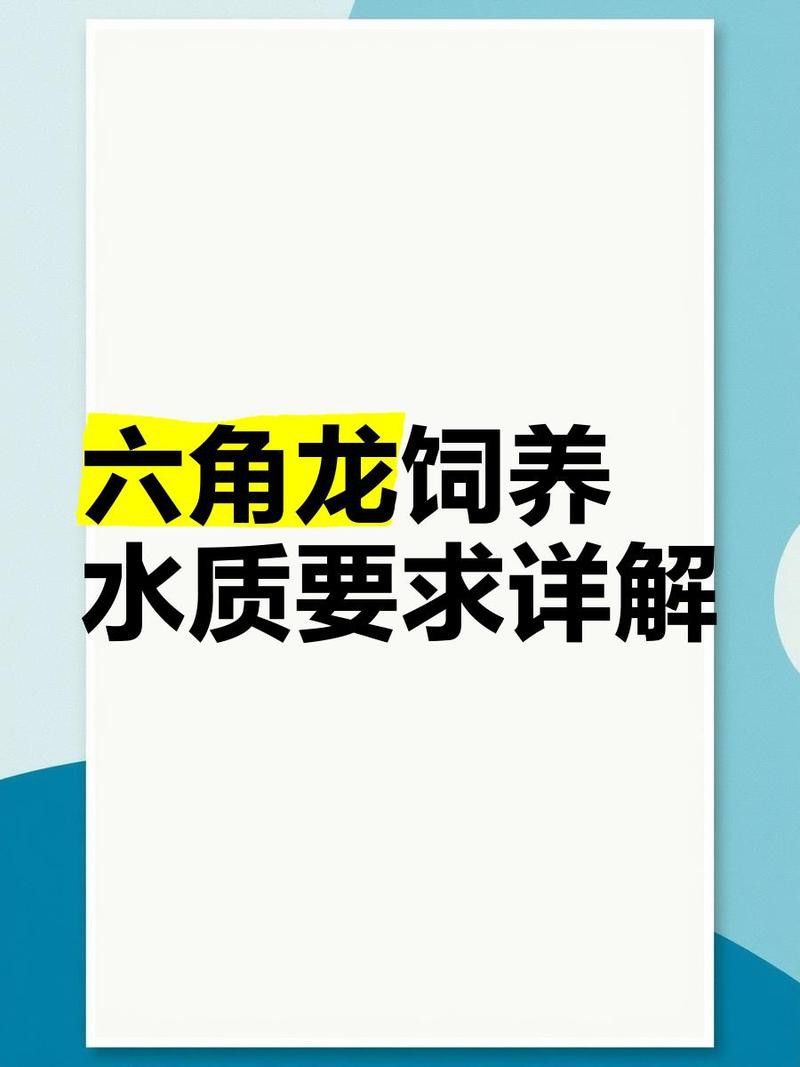 如何保持六角龍魚的水質穩定？