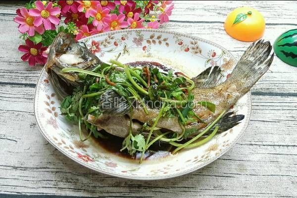 龍躉魚無水燜需要多長時間？