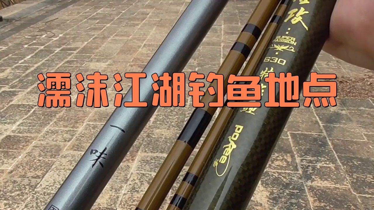 濡沫江湖銀龍魚在哪里