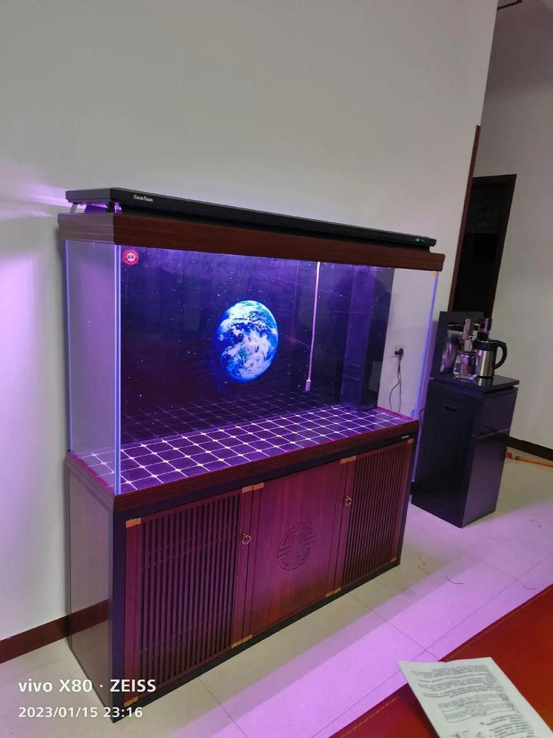 有哪些品牌過(guò)濾器適合金頭龍魚？ 有哪些品牌過(guò)濾器適合金頭龍魚？ 龍魚百科 第3張