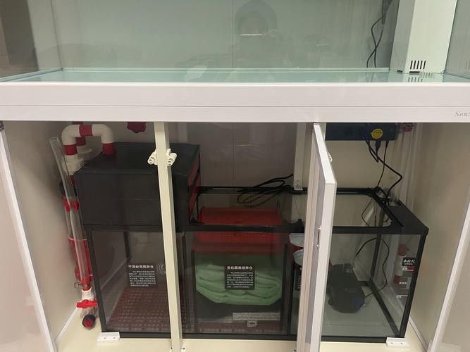 有哪些品牌過(guò)濾器適合金頭龍魚？ 有哪些品牌過(guò)濾器適合金頭龍魚？ 龍魚百科 第1張
