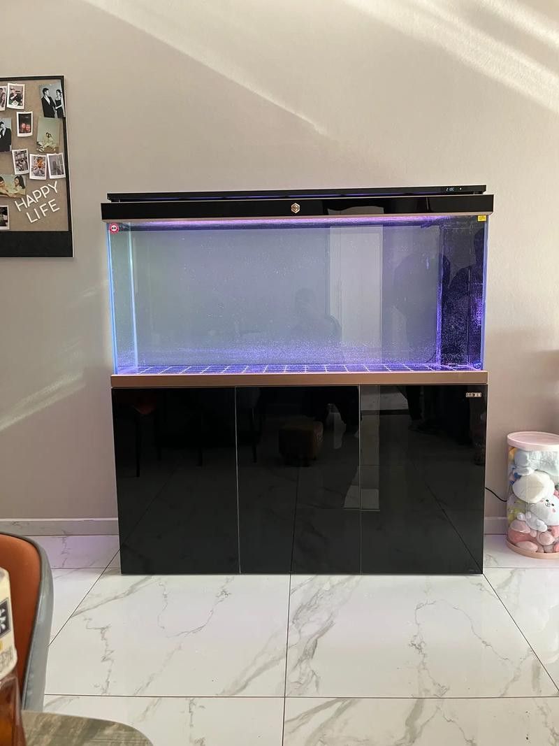 有哪些品牌過(guò)濾器適合金頭龍魚？ 有哪些品牌過(guò)濾器適合金頭龍魚？ 龍魚百科 第2張