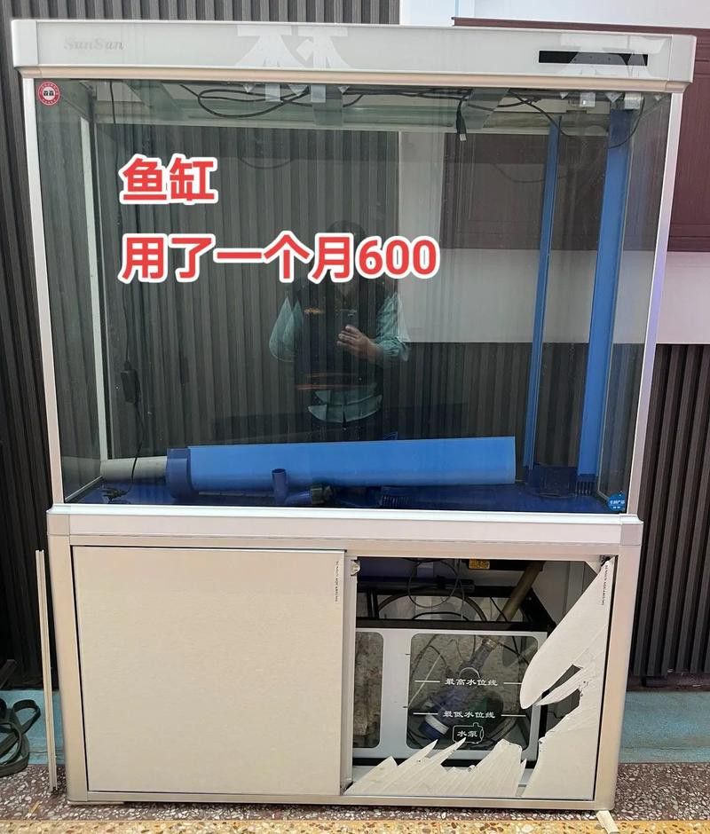 有哪些品牌過(guò)濾器適合金頭龍魚？ 有哪些品牌過(guò)濾器適合金頭龍魚？ 龍魚百科 第5張