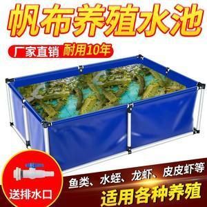 大型龍魚池（大型龍魚池的設計與建設）