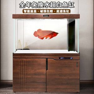 養(yǎng)龍魚的魚缸用白底還是黑底好看