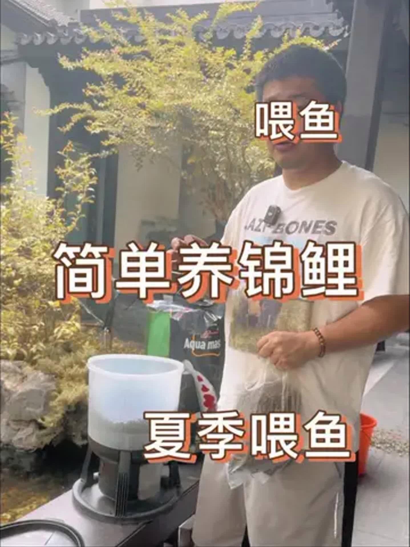 如何加強60cm缸的投喂管理？
