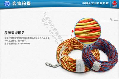 深圳金龍魚電線廠家（深圳金龍羽電線廠家） 深圳金龍魚電線廠家（深圳金龍羽電線廠家） 龍魚百科 第4張