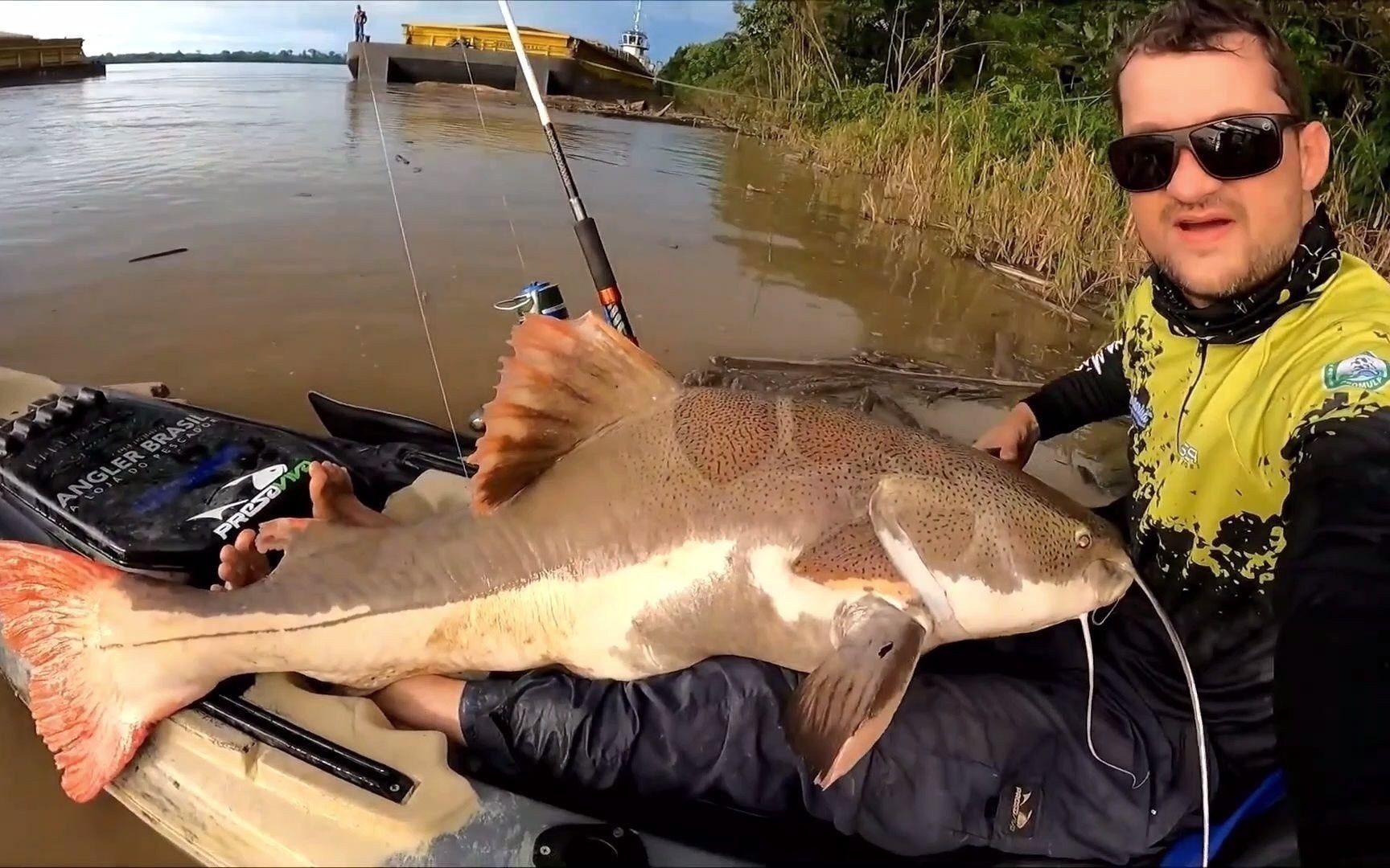 招財貓魚能長多大？