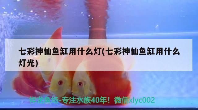 雪龍魚鹽腌制的具體步驟:雪龍魚的鹽腌制過程包括準備原料、清洗、切片和腌制 龍魚百科 第1張 雪龍魚鹽腌制的具體步驟:雪龍魚的鹽腌制過程包括準備原料、清洗、切片和腌制 雪龍魚鹽腌制的具體步驟:雪龍魚的鹽腌制過程包括準備原料、清洗、切片和腌制 龍魚百科 第1張