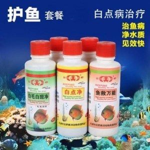 龍魚萬能藥水發黃：龍魚萬能藥水發黃怎么辦 龍魚萬能藥水發黃：龍魚萬能藥水發黃怎么辦 龍魚百科 第3張