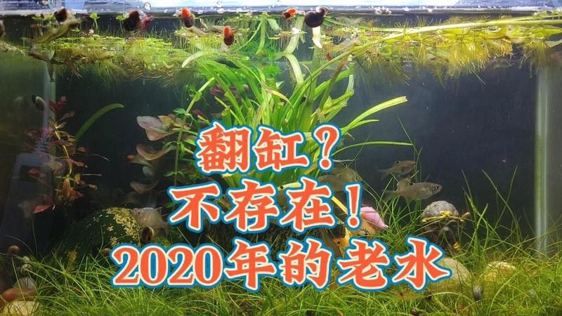 火山石多久換一次？
