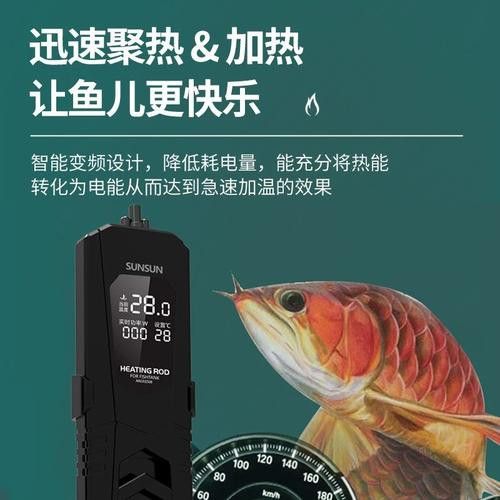 有哪些節能型福龍魚設備？