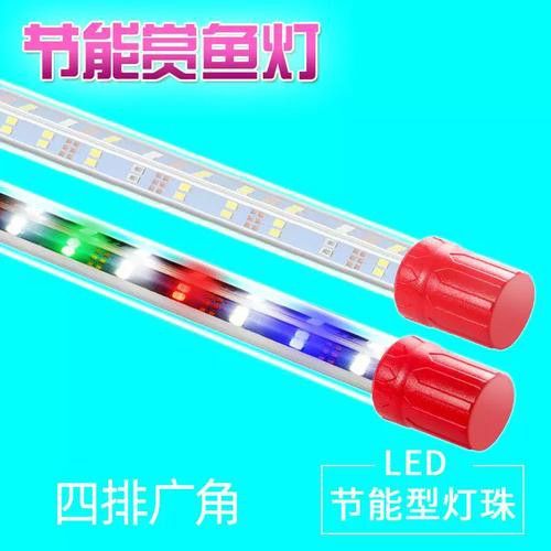 有哪些節能型福龍魚設備？