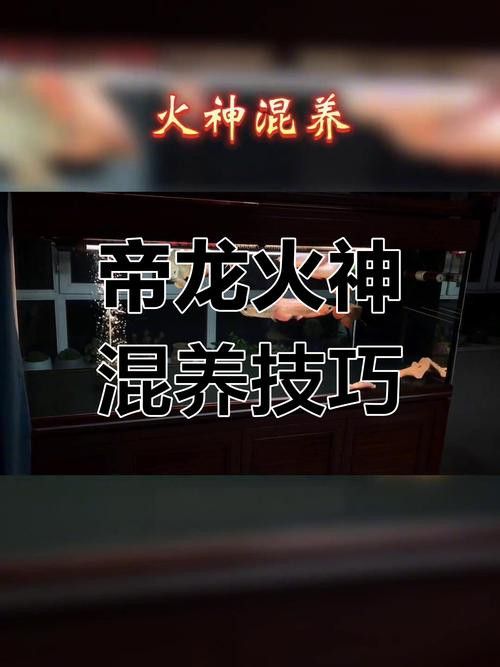 帝龍火神與競品相比有何優(yōu)勢？