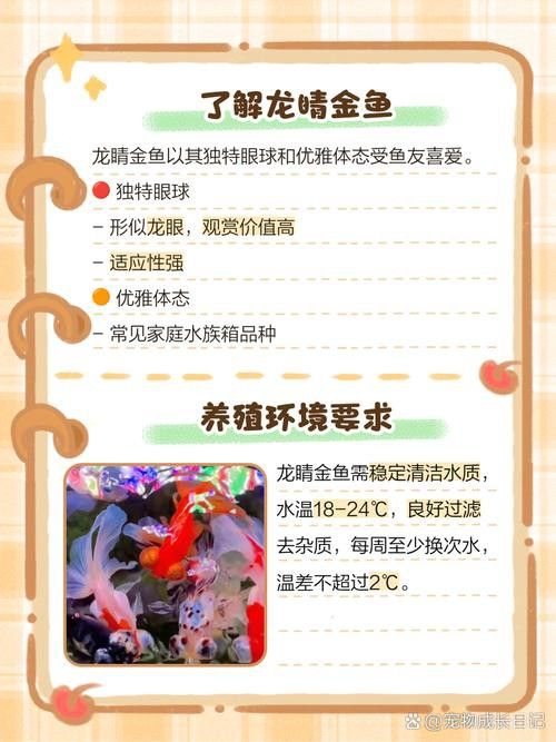 哪里可以購買到龍睛魚？ 哪里可以購買到龍睛魚？ 龍魚百科 第8張