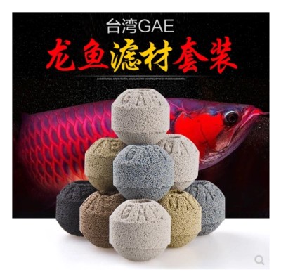 養龍魚需要什么濾材才能養活