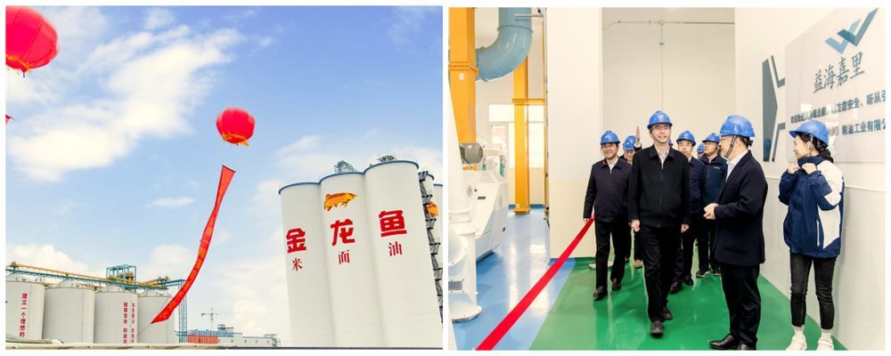 合肥金龍魚糧倉地址電話（合肥金龍魚糧倉地址和電話信息）