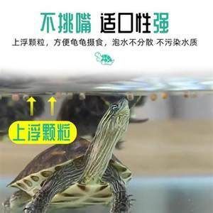 金龍魚膠的作用：金龍魚膠的作用與功效