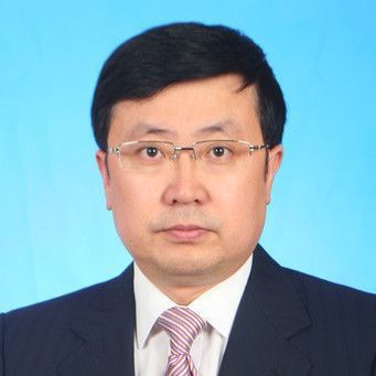 龍貓定點排便需要哪些道具? 龍魚百科 第1張 龍貓定點排便需要哪些道具? 龍貓定點排便需要哪些道具? 龍魚百科 第1張