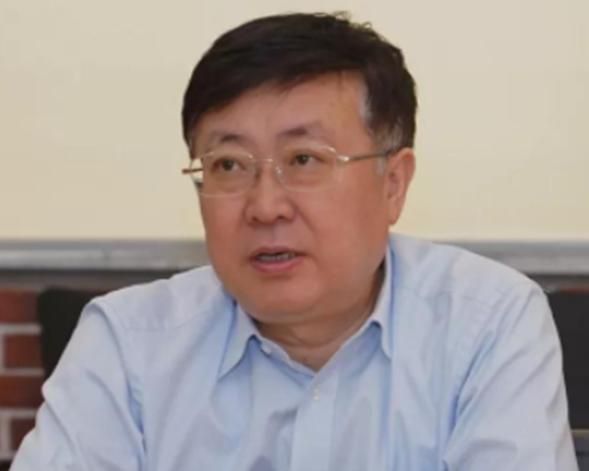龍貓定點排便需要哪些道具? 龍魚百科 第3張 龍貓定點排便需要哪些道具? 龍貓定點排便需要哪些道具? 龍魚百科 第3張