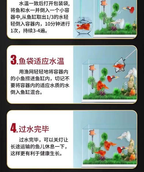 藍(lán)面財(cái)神魚(yú)和血艷紅區(qū)別圖