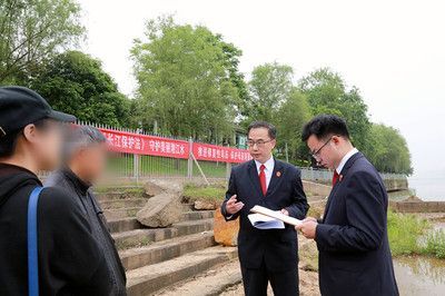 10cm龍魚苗多少錢一條合適養：龍魚苗價格多少錢一條