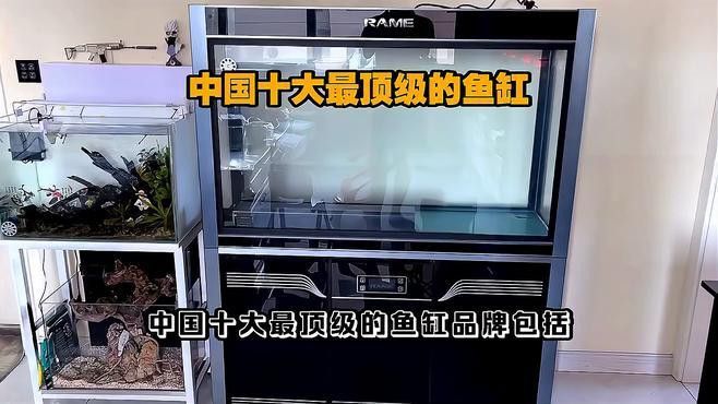 有哪些品牌的金龍魚缸口碑最好 有哪些品牌的金龍魚缸口碑最好 龍魚百科 第4張