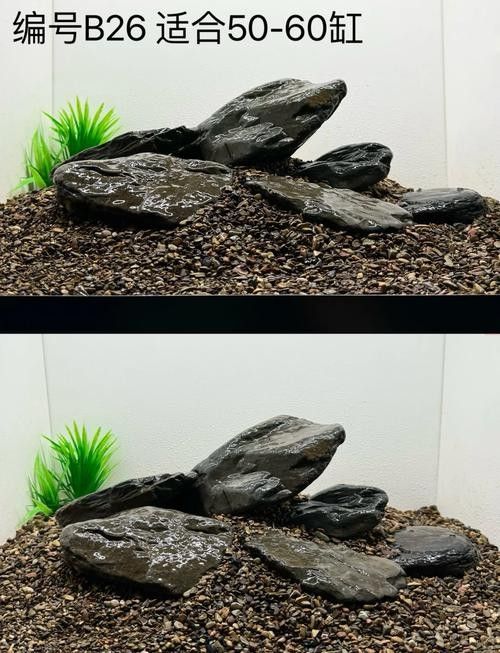 雷龍魚造景用什么石頭最好