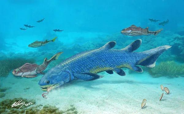 龍魚麻醉多久可以吃東西喝水了：龍魚麻醉后多久可以吃東西喝水？全面解析與注意事項