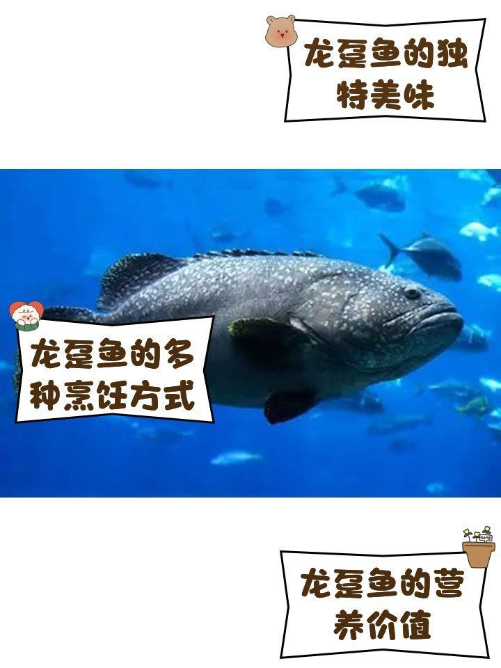 龍躉是海鮮嗎還是河鮮