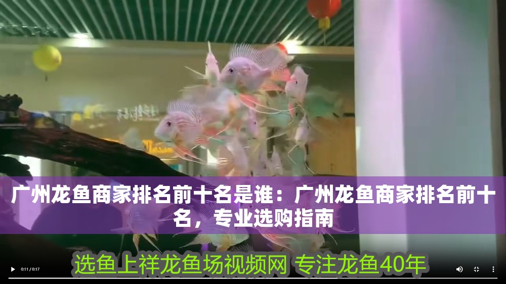 廣州龍魚商家排名前十名是誰：廣州龍魚商家排名前十名，專業(yè)選購指南