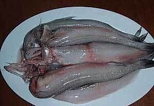 龍魚怎樣做才好吃：清蒸龍魚的家常做法，