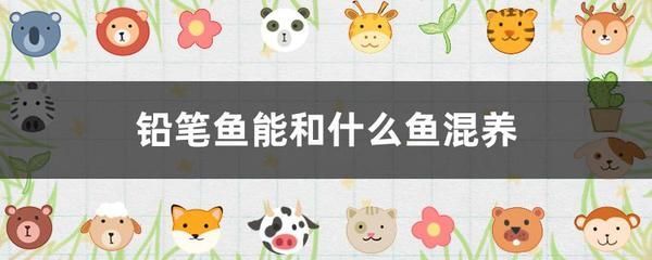 銀龍魚能和藍鯊混養嗎 銀龍魚能和藍鯊混養嗎 龍魚百科 第3張
