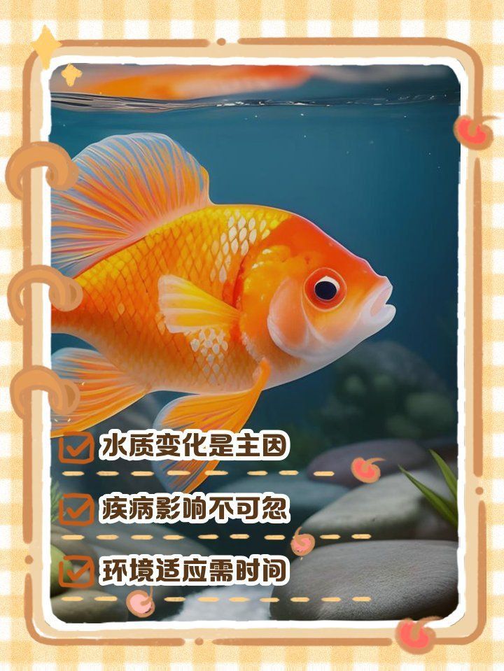 金魚換水后趴缸底不動 金魚換水后趴缸底不動 龍魚百科 第6張