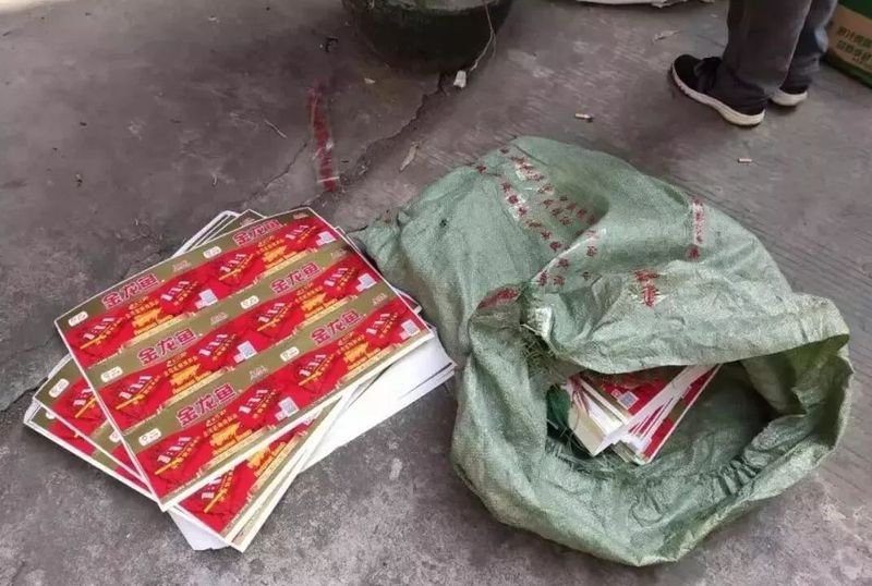 金龍魚怎么查真假鑒別 金龍魚怎么查真假鑒別 龍魚百科 第12張