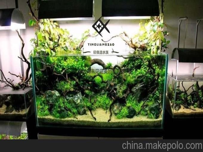 石家莊魚缸定做定制（石家莊地區魚缸定做定制服務）