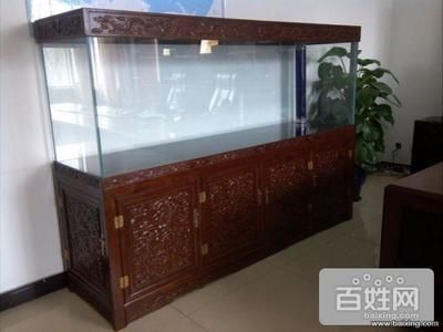 石家莊魚缸定做定制（石家莊地區魚缸定做定制服務）