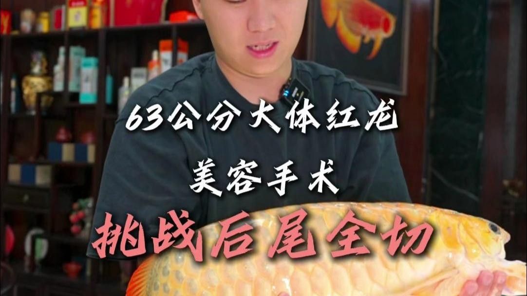 深海紅龍魚粗框和細框哪個更稀有？
